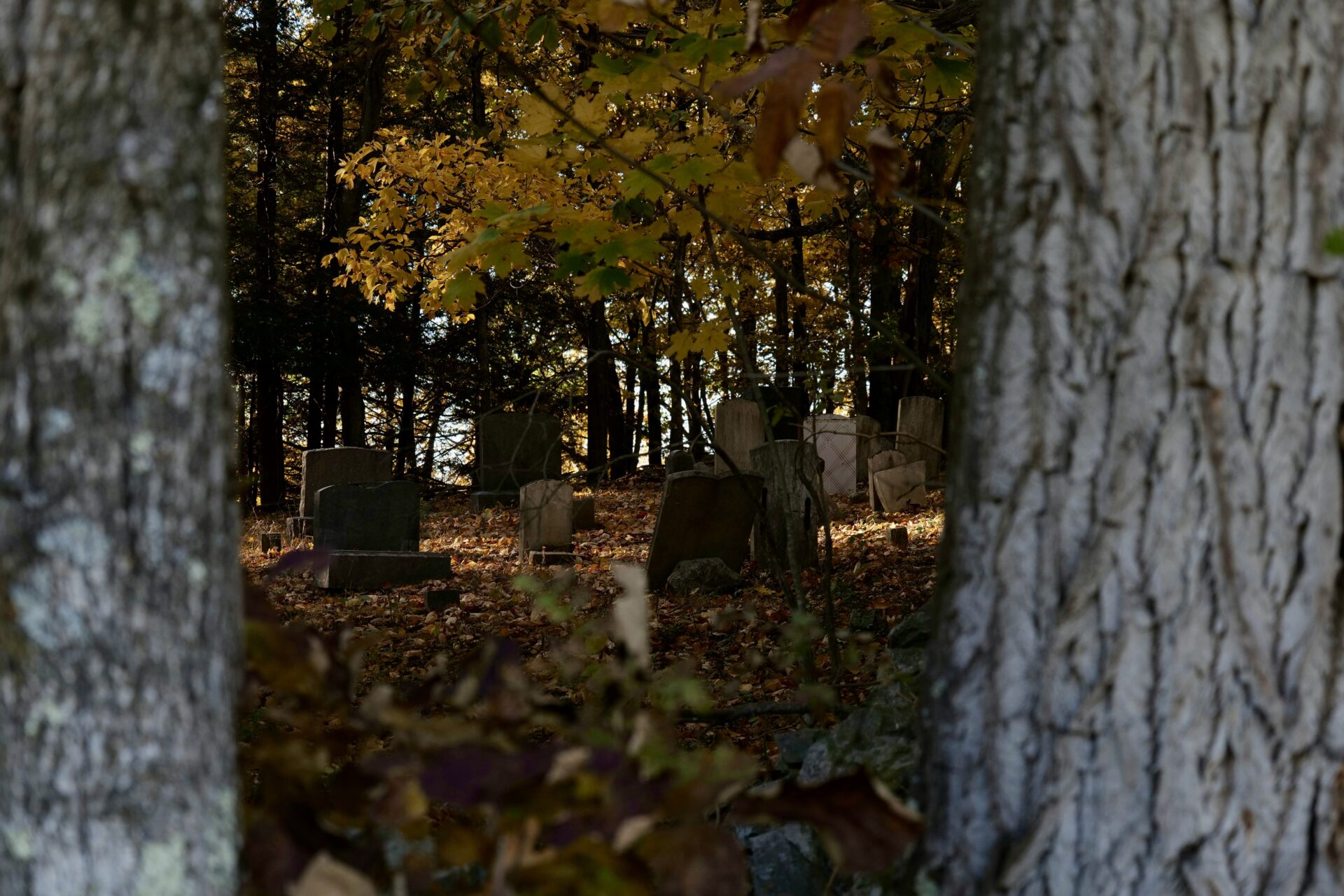 Unmarked graves autumn