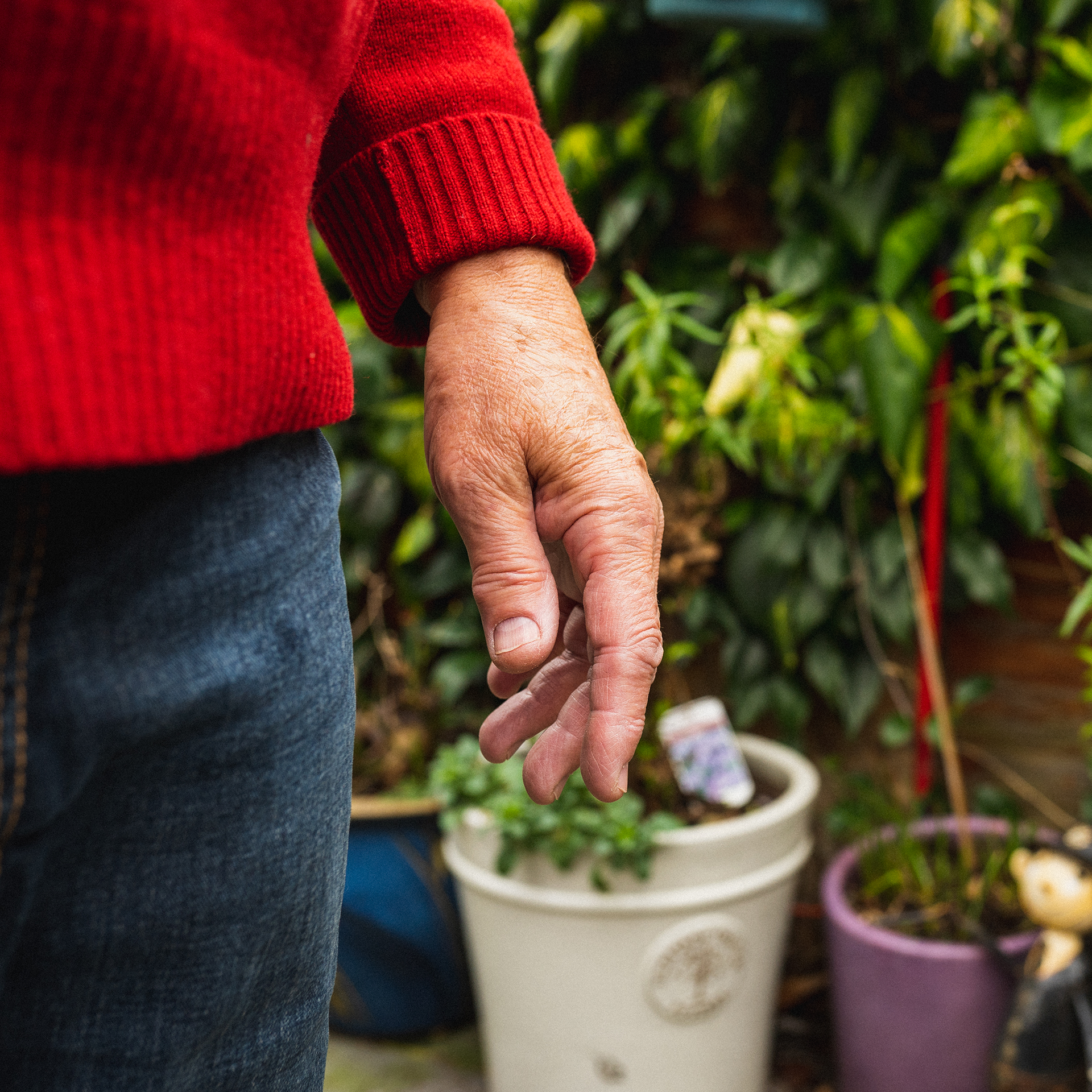 Close up of mans hand in garden