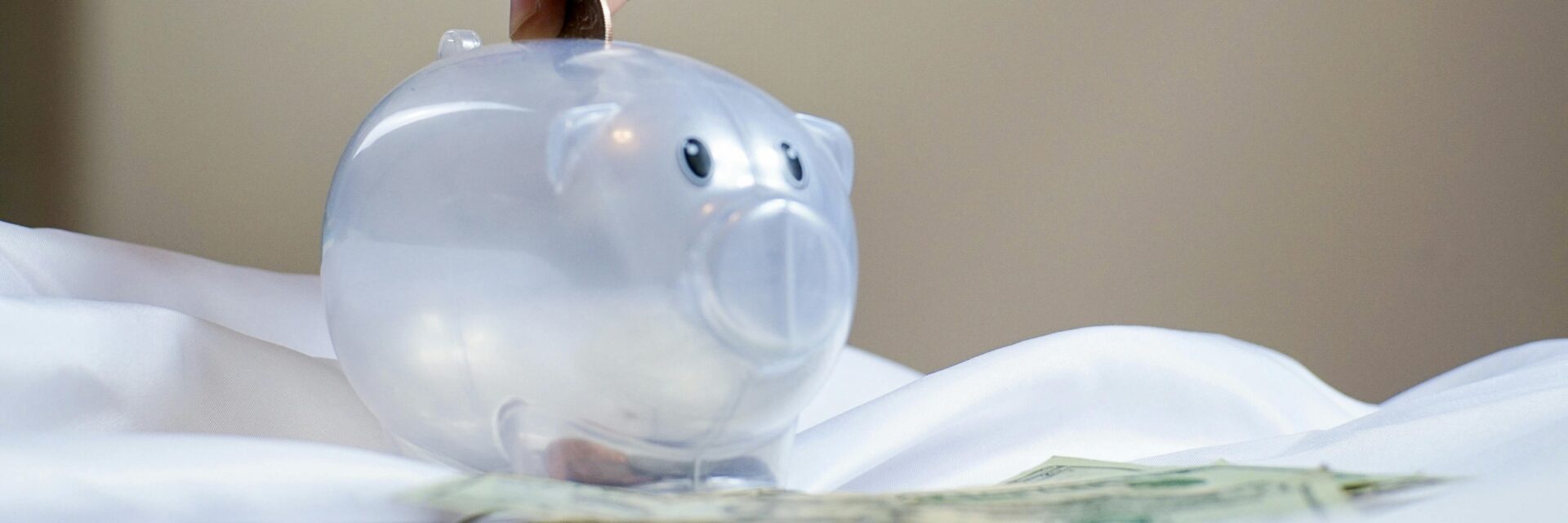 Translucent piggy bank