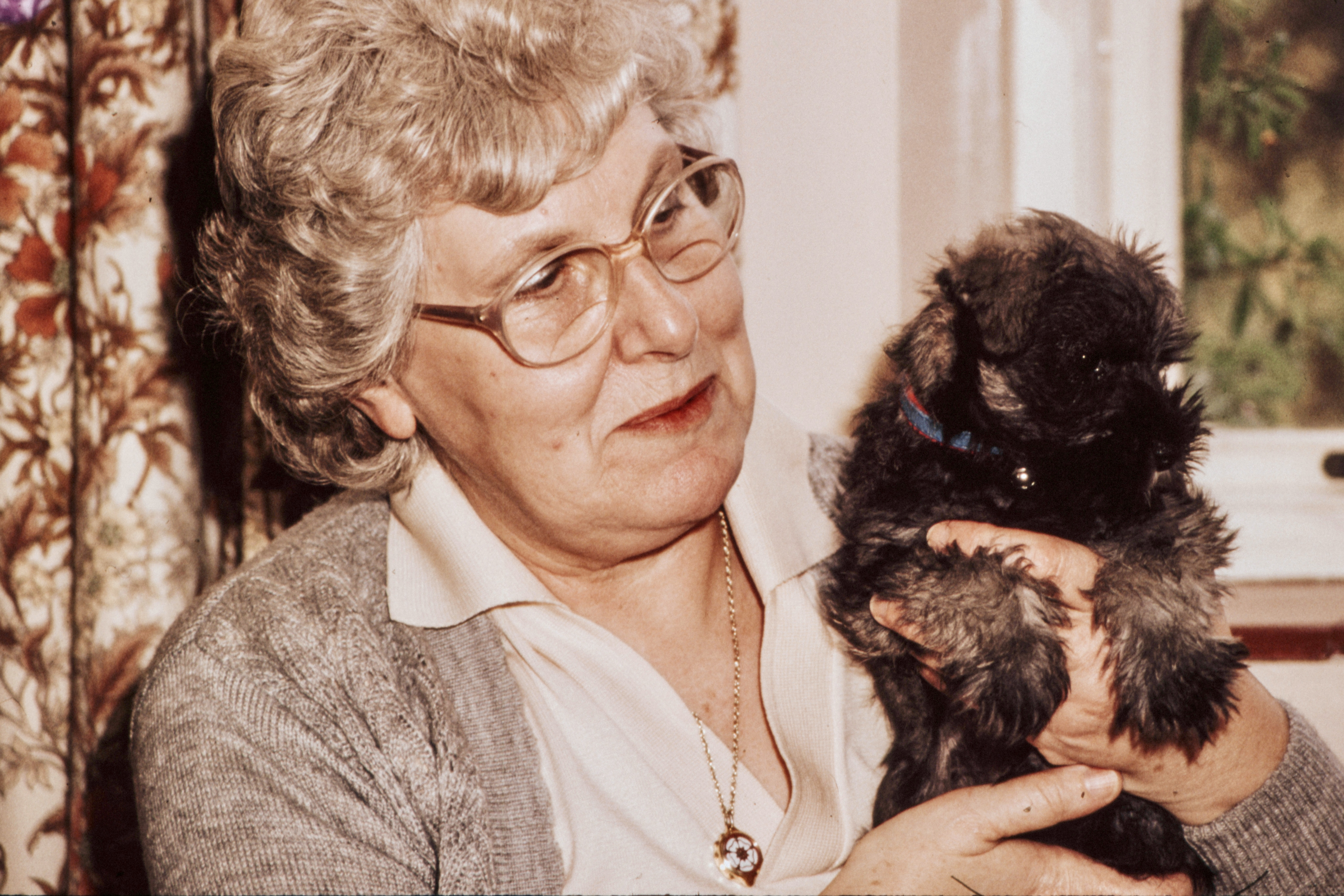Funeral Poems for Nan: Touching Tributes to Grandma 4 Nan with doggy