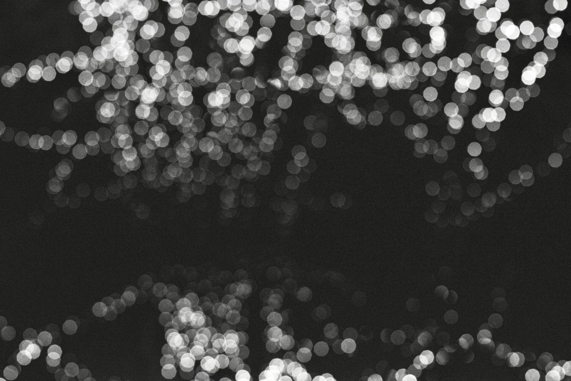Twinkly lights bw