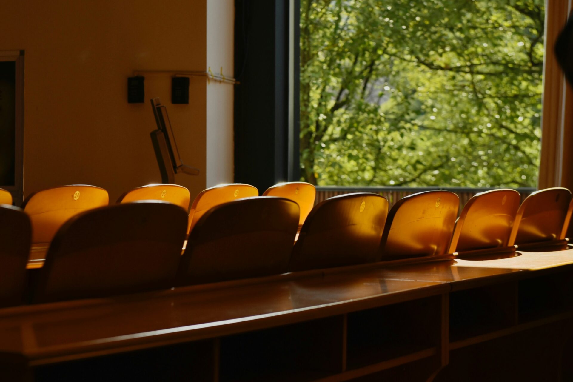 Room of rowed chairs