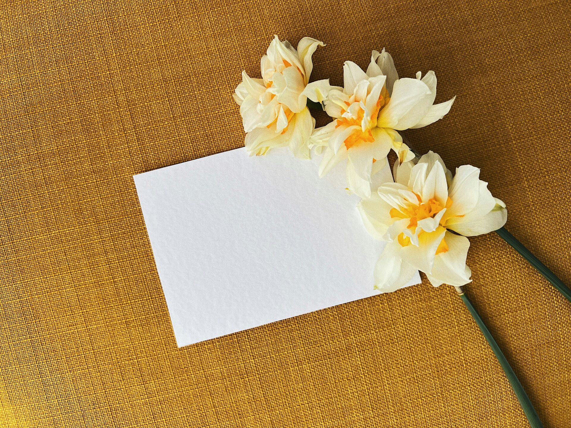 Card flowers