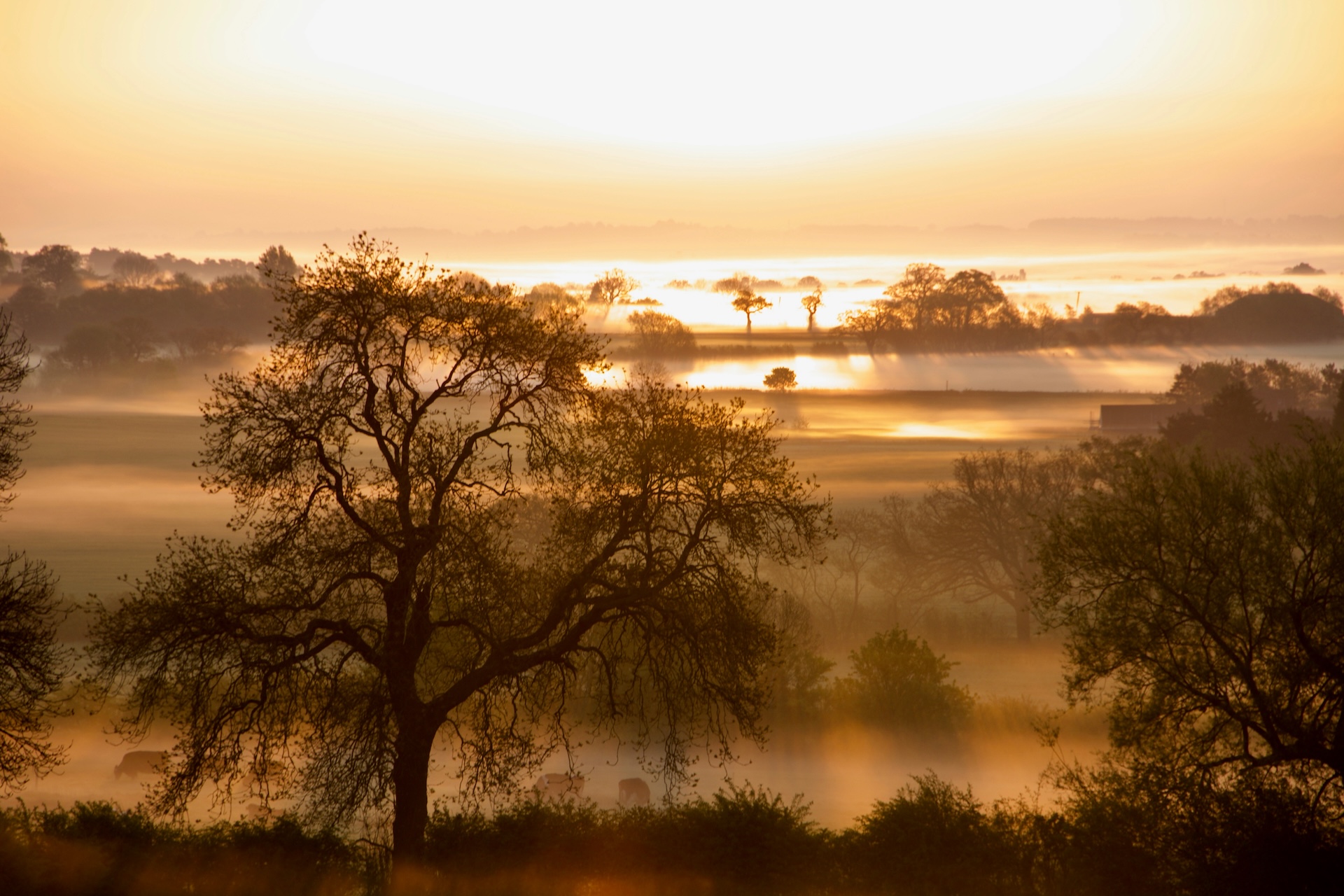 template-location 2 Hero